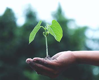 Solar Roofing Agro Solar Kerala